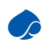 Senior IT Project Manager