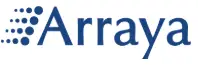 IT Operational Auditor