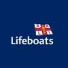 Maritime Standards Manager
