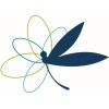 Head of Procurement