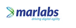 Workday Integration Lead