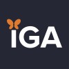 Interim Business Analyst