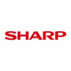 Senior Marketing & Content Executive
