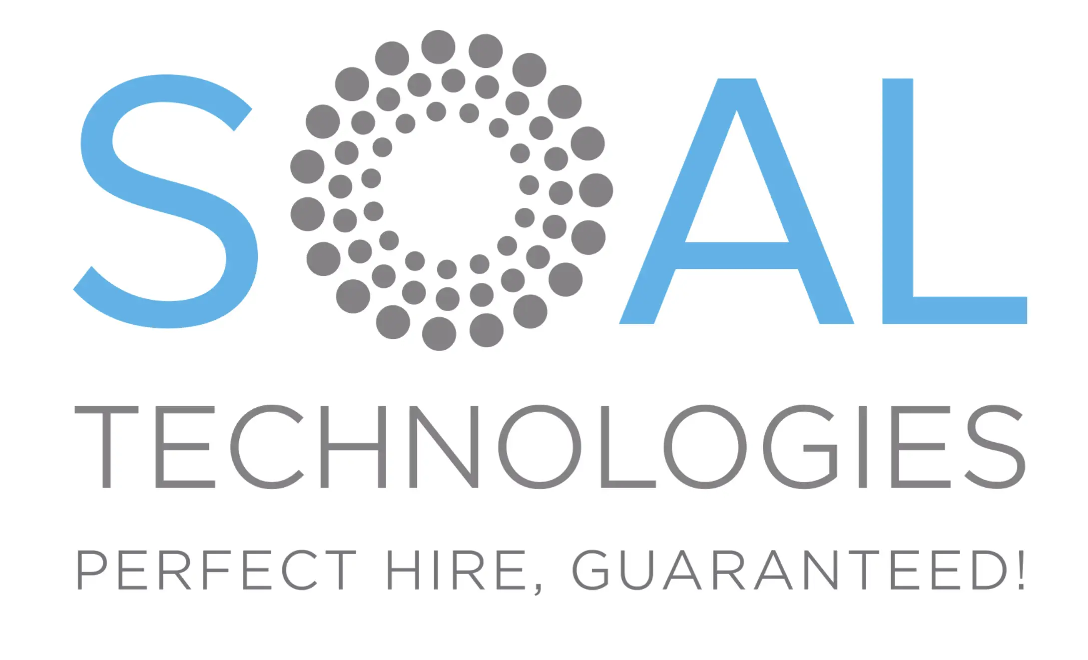 SAS Developer