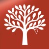 Freelance Senior Account Executive
