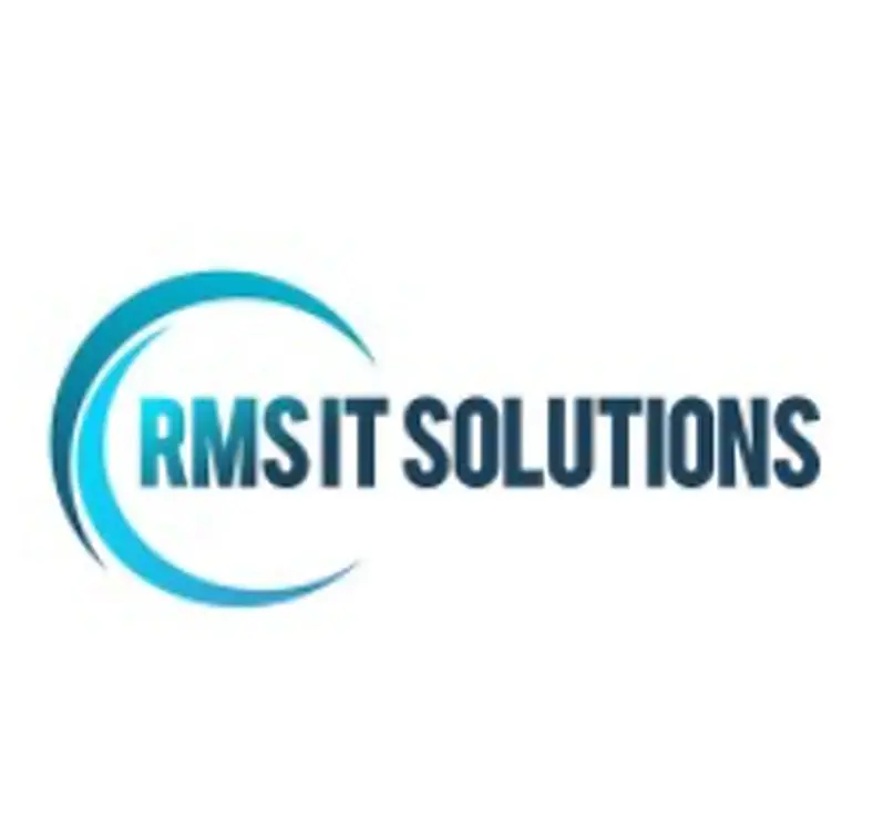 Workday Development Project Manager