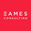 Senior Project Manager