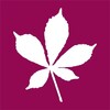 Recruitment Manager
