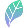 Junior Project Manager