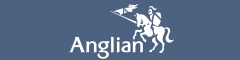 Sales Executive
