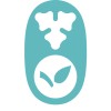 Data Analyst
