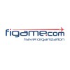 External Sales Consultant