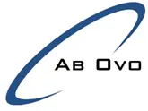 Senior Auditing Consultant