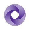 Interim Public Sector Auditor