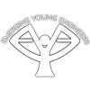 STEM Mentor