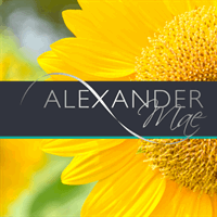 Contract QA Consultant