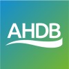 Animal Health & Welfare Scientist - fixed term contract