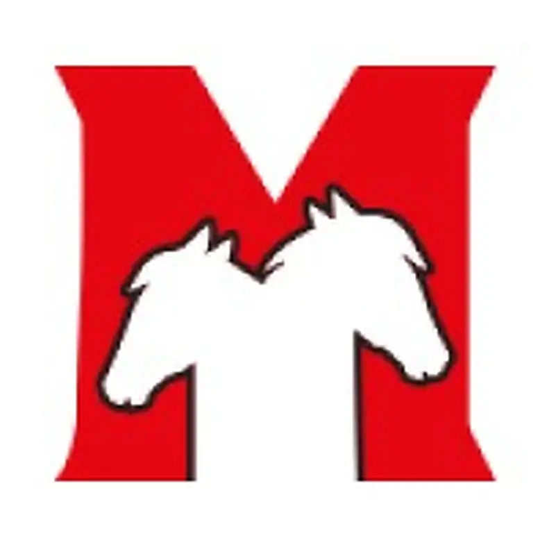 UX Writer / Content Designer