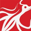 Service Delivery Team Lead