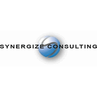 Cyber Security Consultant