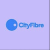 Procurement Systems, Process & Performance Lead (Contractor)