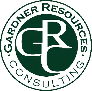 Sr Information Technology Project Manager