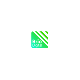 Senior Data Analyst