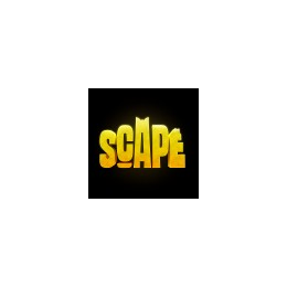Social Media Manager