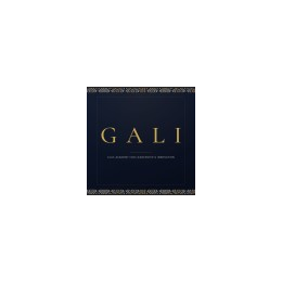 Professors, Faculty, & Mentors - GALI 2027
