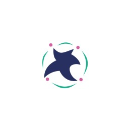 Senior Network Engineer