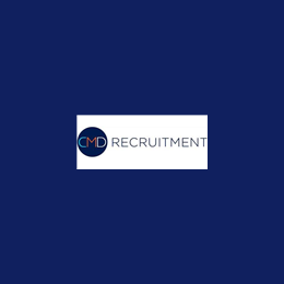 Senior Project Manager