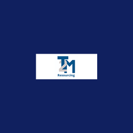 Interim P2P Process Lead