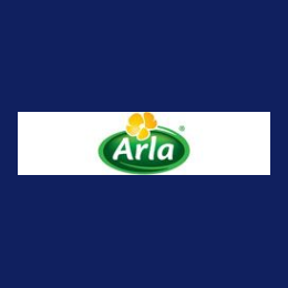 Projects Health & Safety Manager