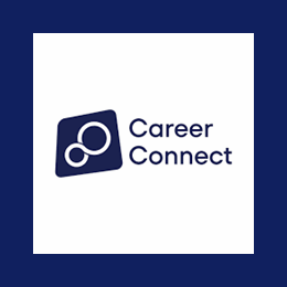Digital Solutions Engineer