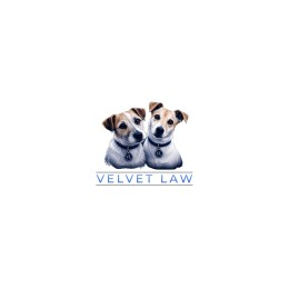 Senior Litigator (LOCUM)