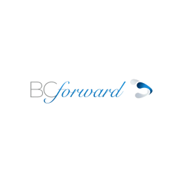 Senior Product Owner IV