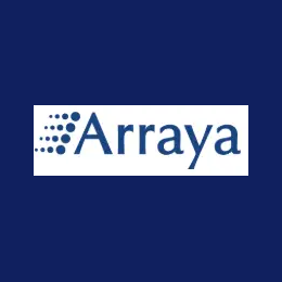 Senior Cyber Security Consultant