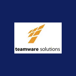 SAP Business Consultant
