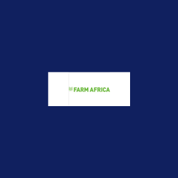 Interim Director of Finance