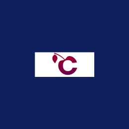 Interim Commercial Accountant / Finance Analyst – Power BI