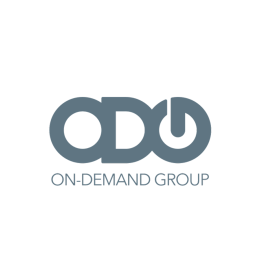 Senior Salesforce Data & Reporting Analyst