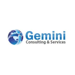Business Intelligence Developer