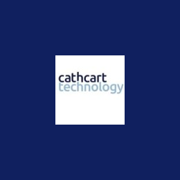 IT Business Analyst