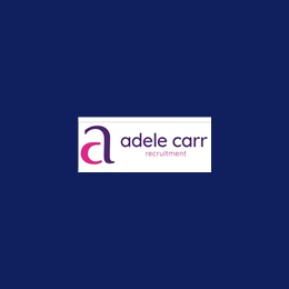 Interim Management Accountant
