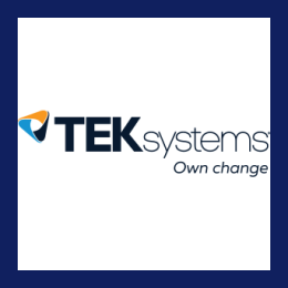 Salesforce Technical Lead