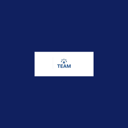 Site Engineer