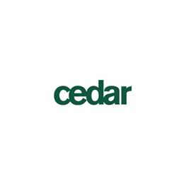 Business Analyst - Accounts Payable
