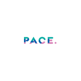 PMO Analyst (Consultant)