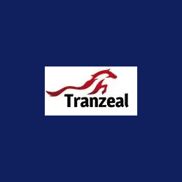 Senior Delivery Manager - Technical Delivery Lead