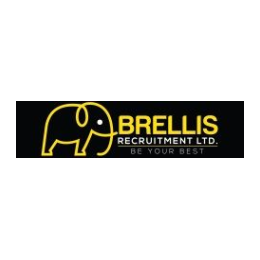 HR Consultant